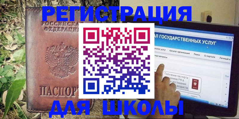 прописка для школы в Малой Вишере